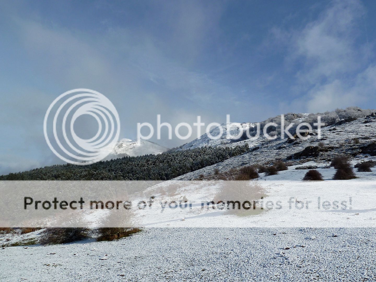 Photo Sharing and Video Hosting at Photobucket
