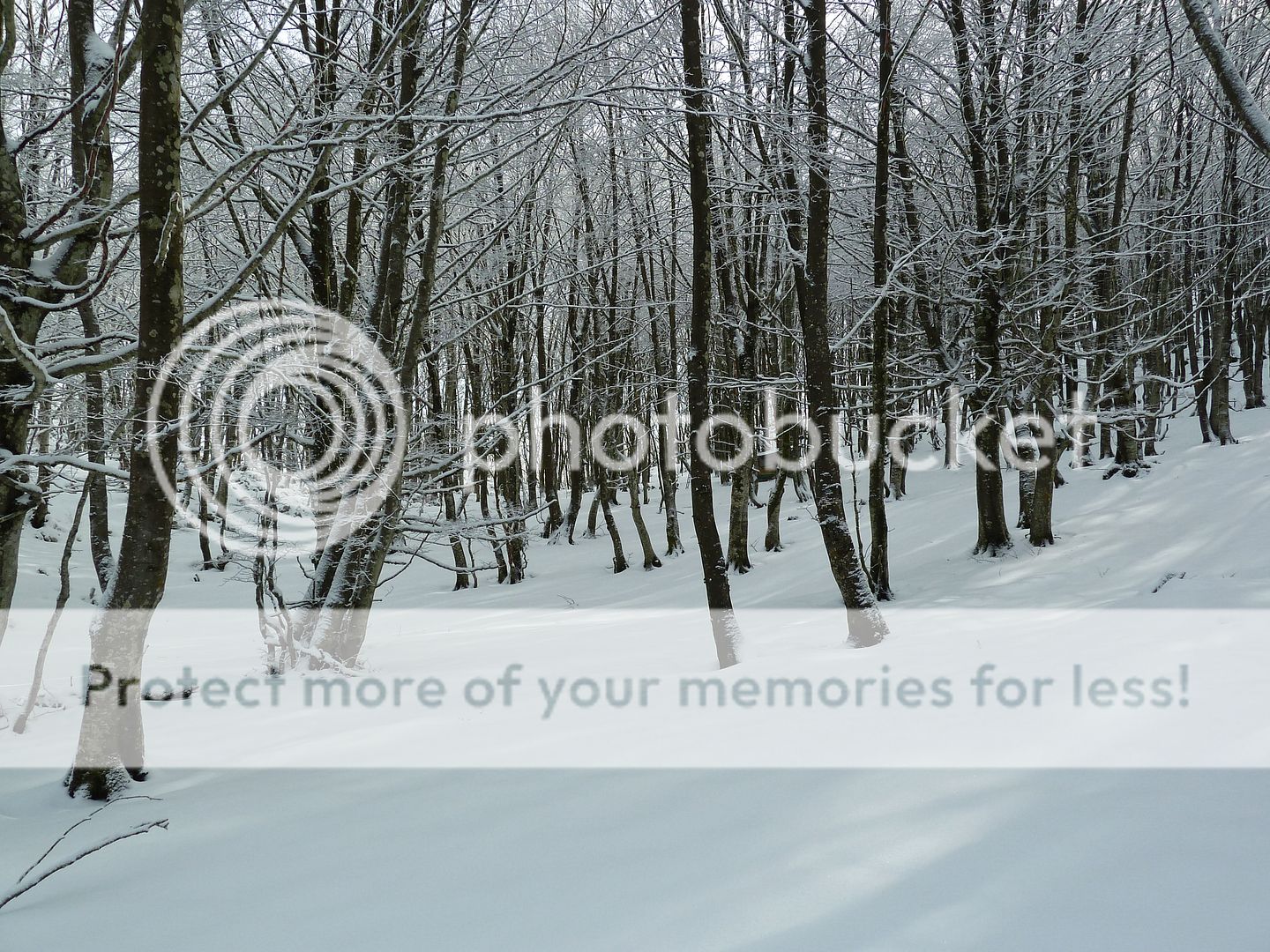 Photo Sharing and Video Hosting at Photobucket
