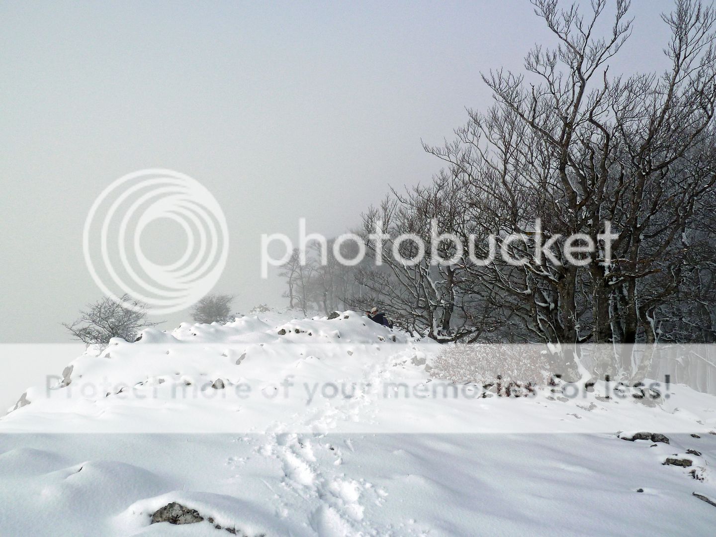 Photo Sharing and Video Hosting at Photobucket