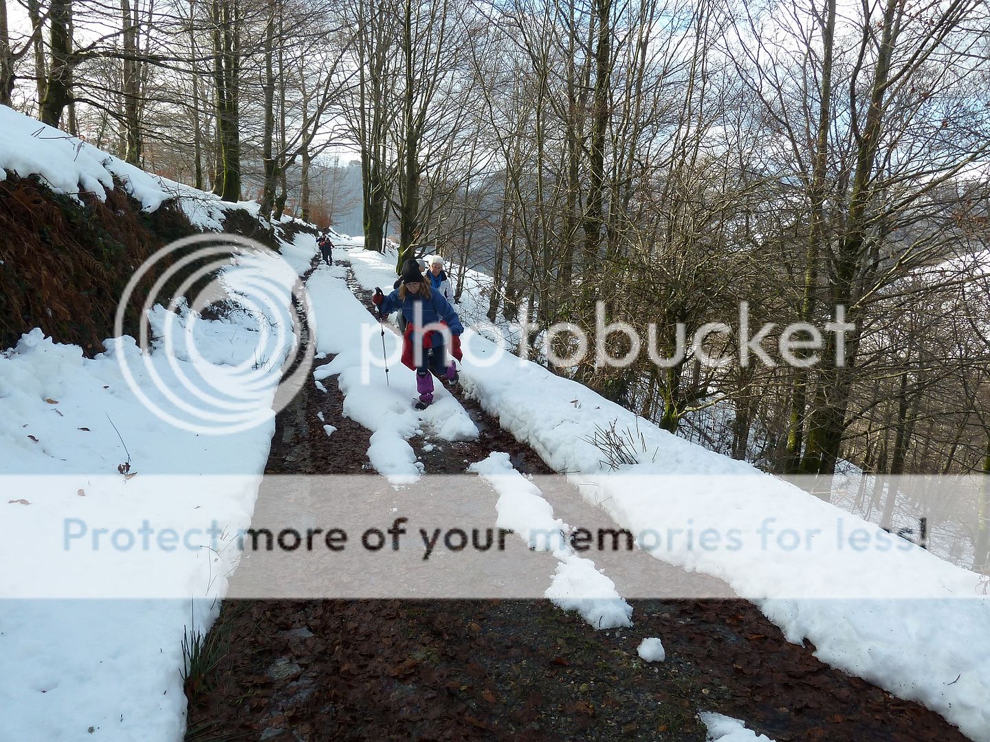 Photo Sharing and Video Hosting at Photobucket