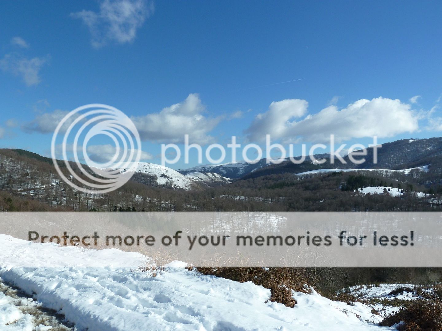 Photo Sharing and Video Hosting at Photobucket
