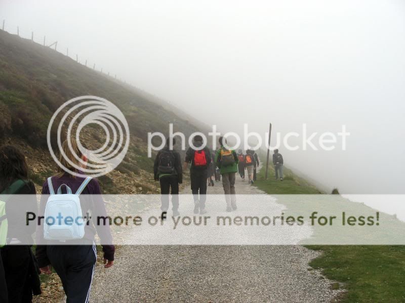Photo Sharing and Video Hosting at Photobucket