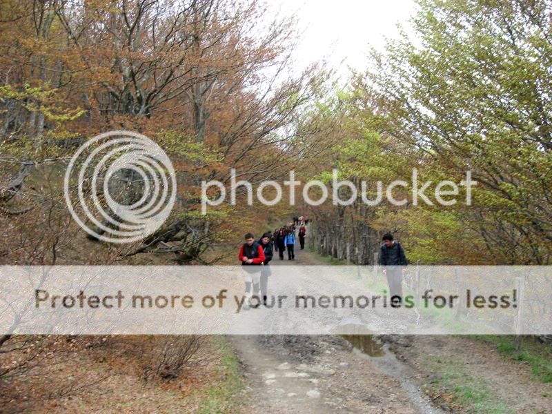Photo Sharing and Video Hosting at Photobucket
