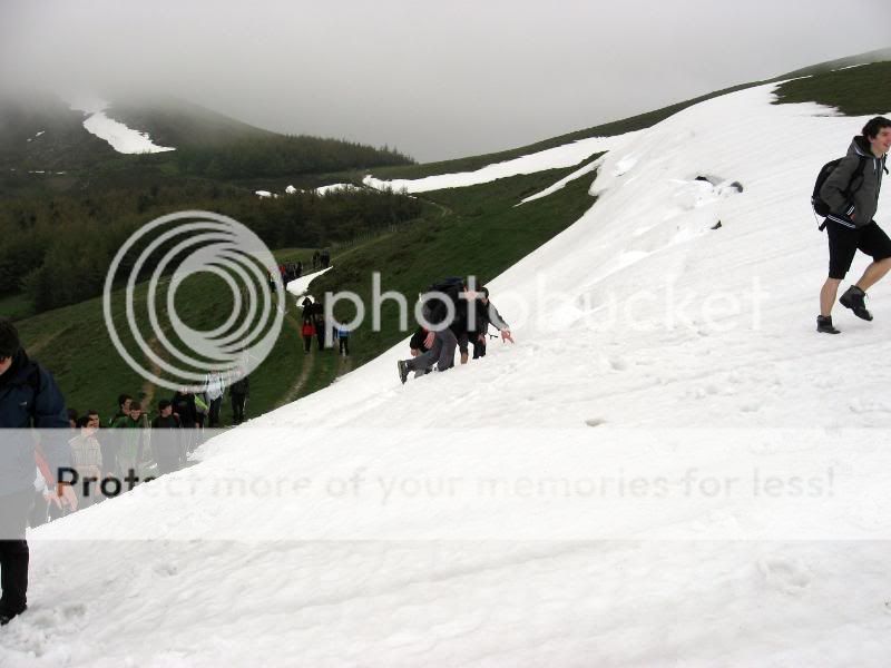 Photo Sharing and Video Hosting at Photobucket