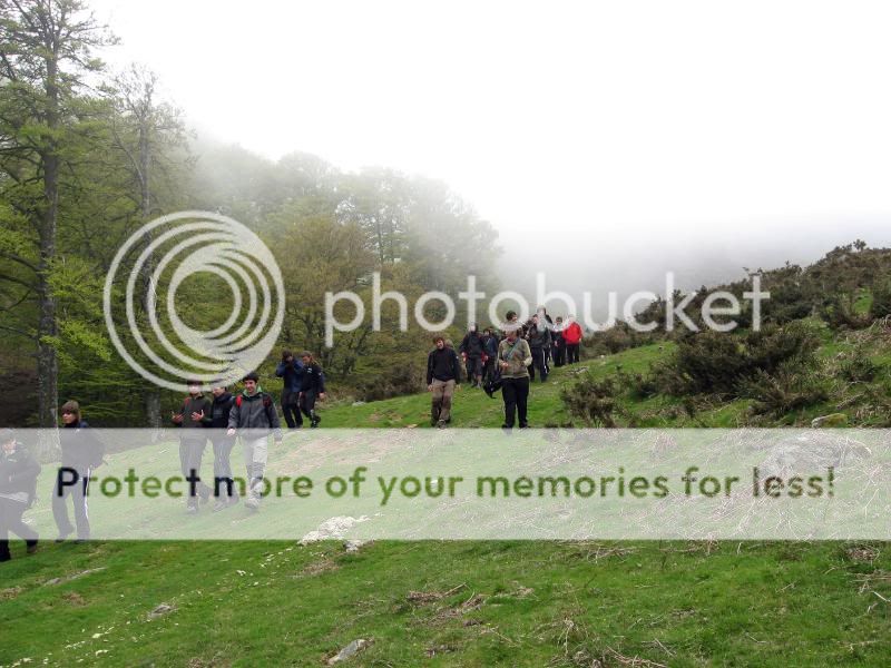 Photo Sharing and Video Hosting at Photobucket
