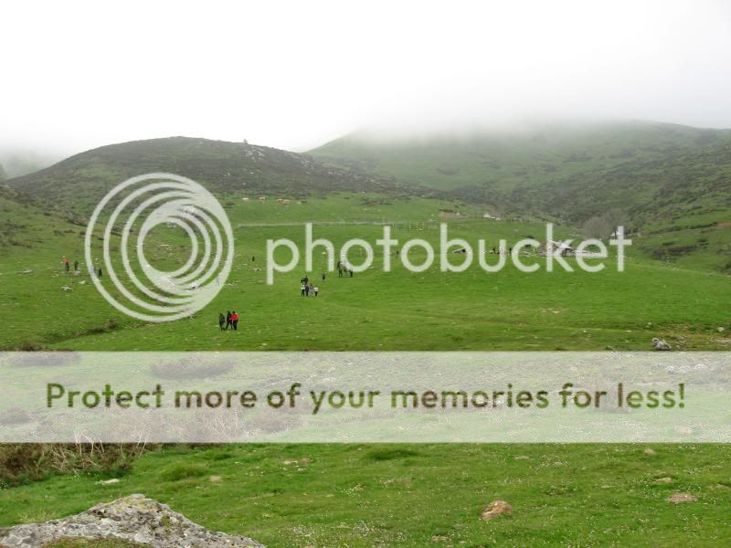 Photo Sharing and Video Hosting at Photobucket