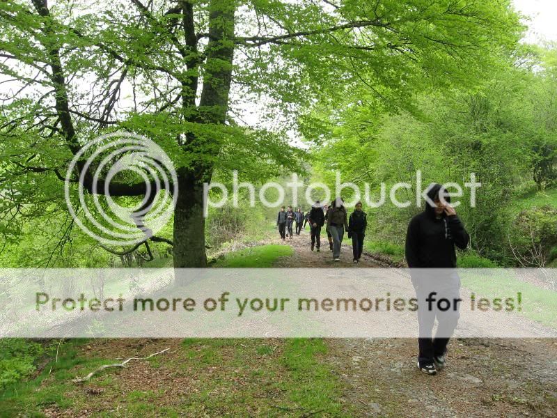 Photo Sharing and Video Hosting at Photobucket