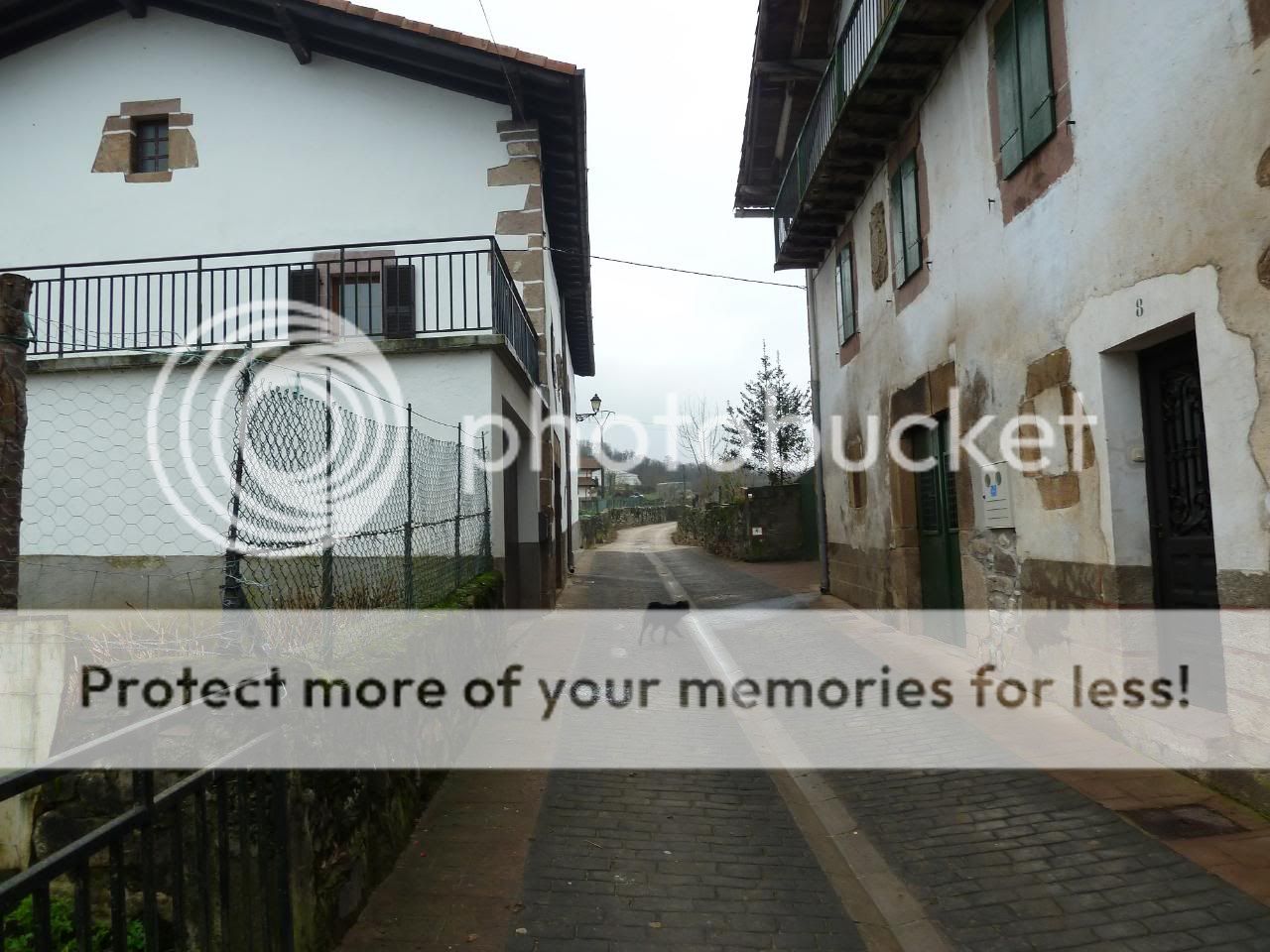 Photo Sharing and Video Hosting at Photobucket