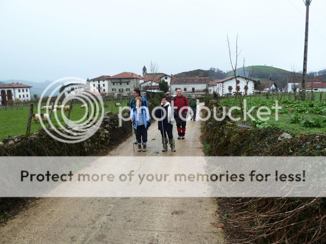 Photo Sharing and Video Hosting at Photobucket