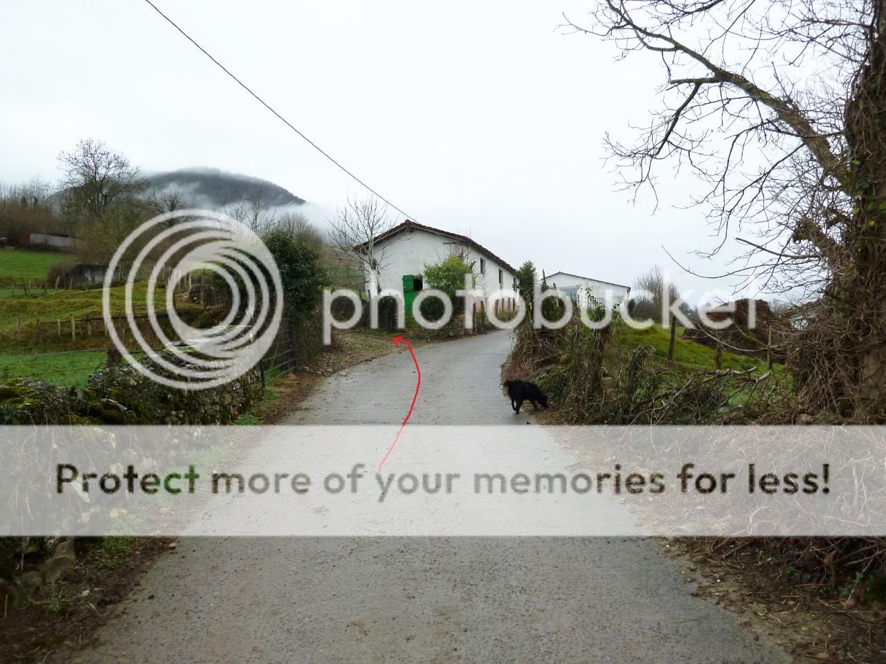 Photo Sharing and Video Hosting at Photobucket