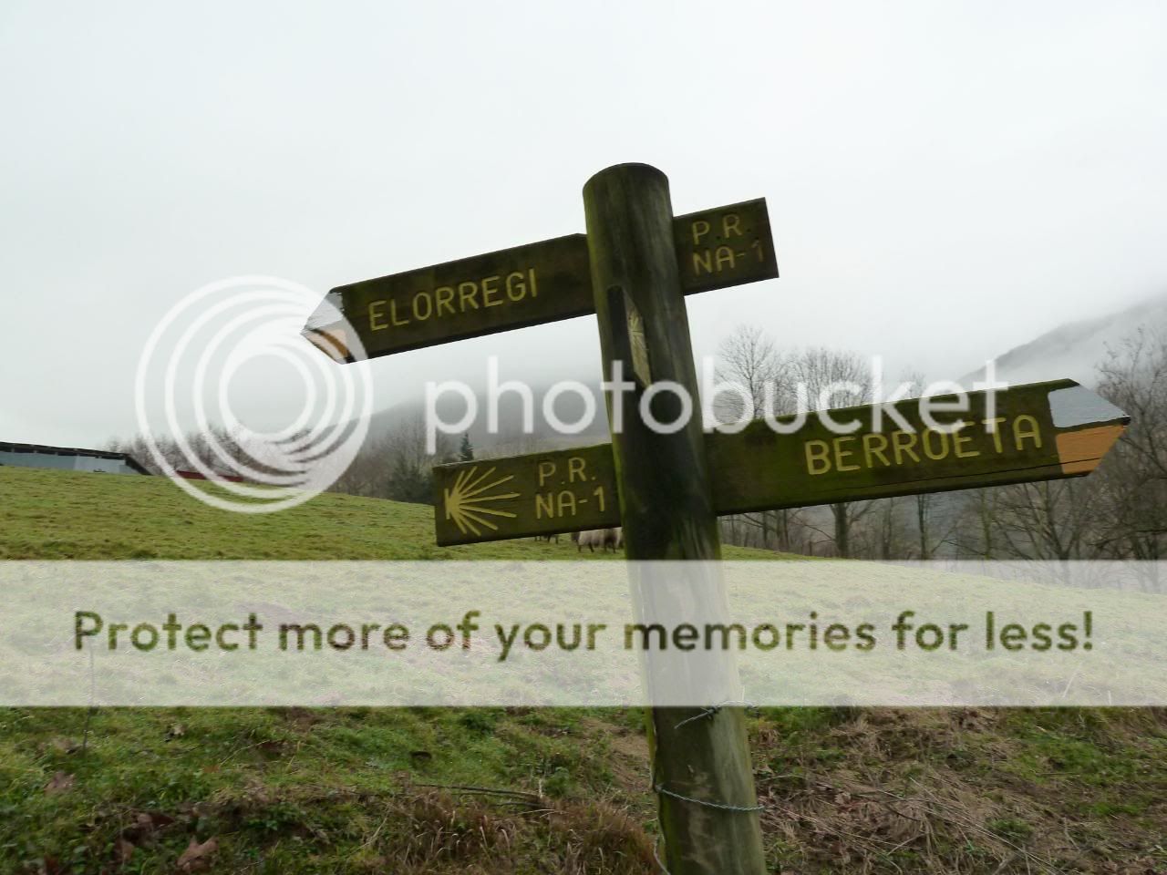 Photo Sharing and Video Hosting at Photobucket