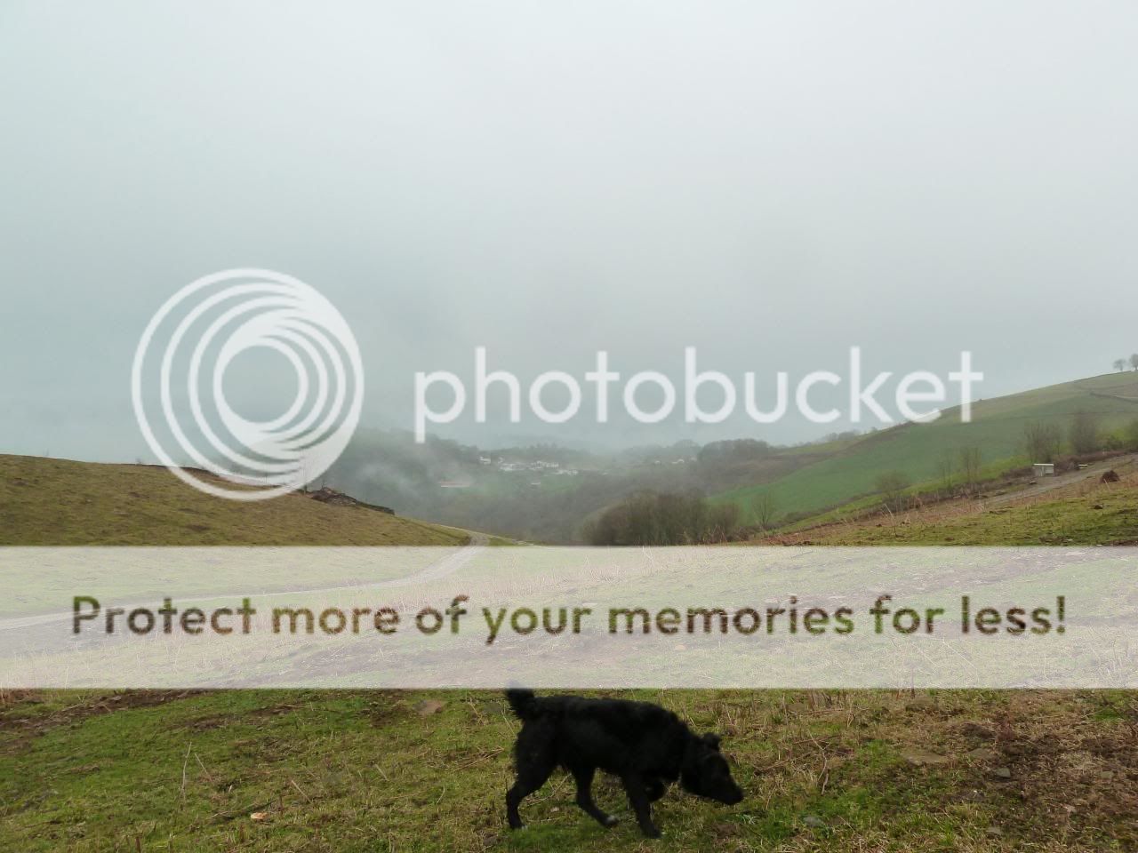 Photo Sharing and Video Hosting at Photobucket