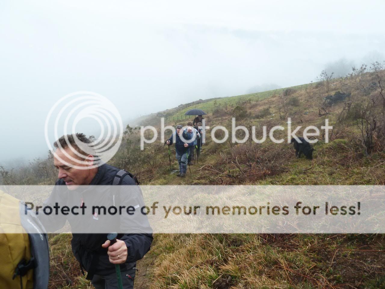 Photo Sharing and Video Hosting at Photobucket
