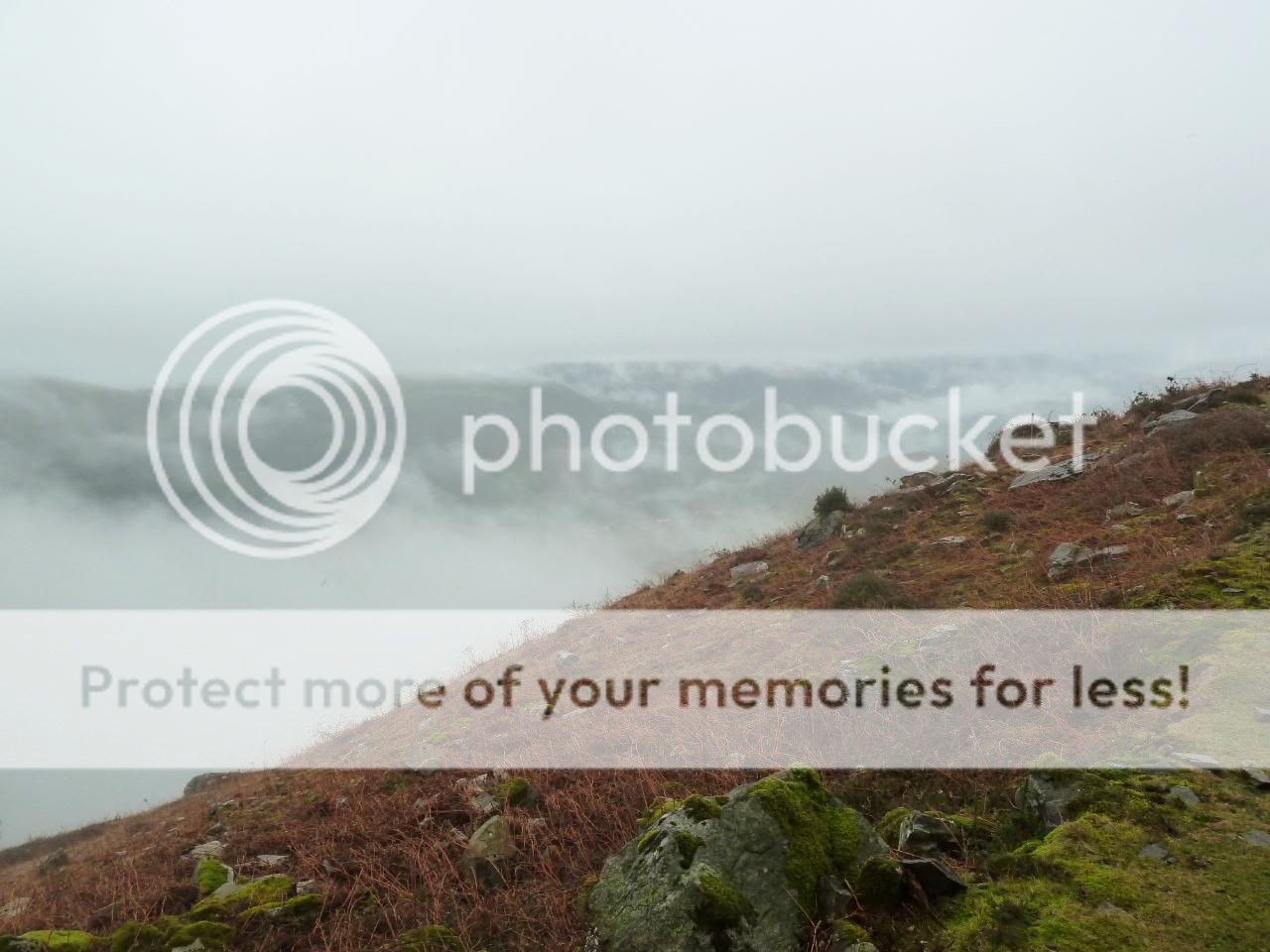 Photo Sharing and Video Hosting at Photobucket