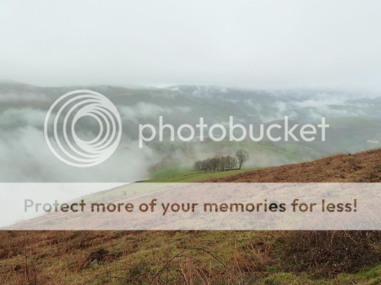 Photo Sharing and Video Hosting at Photobucket