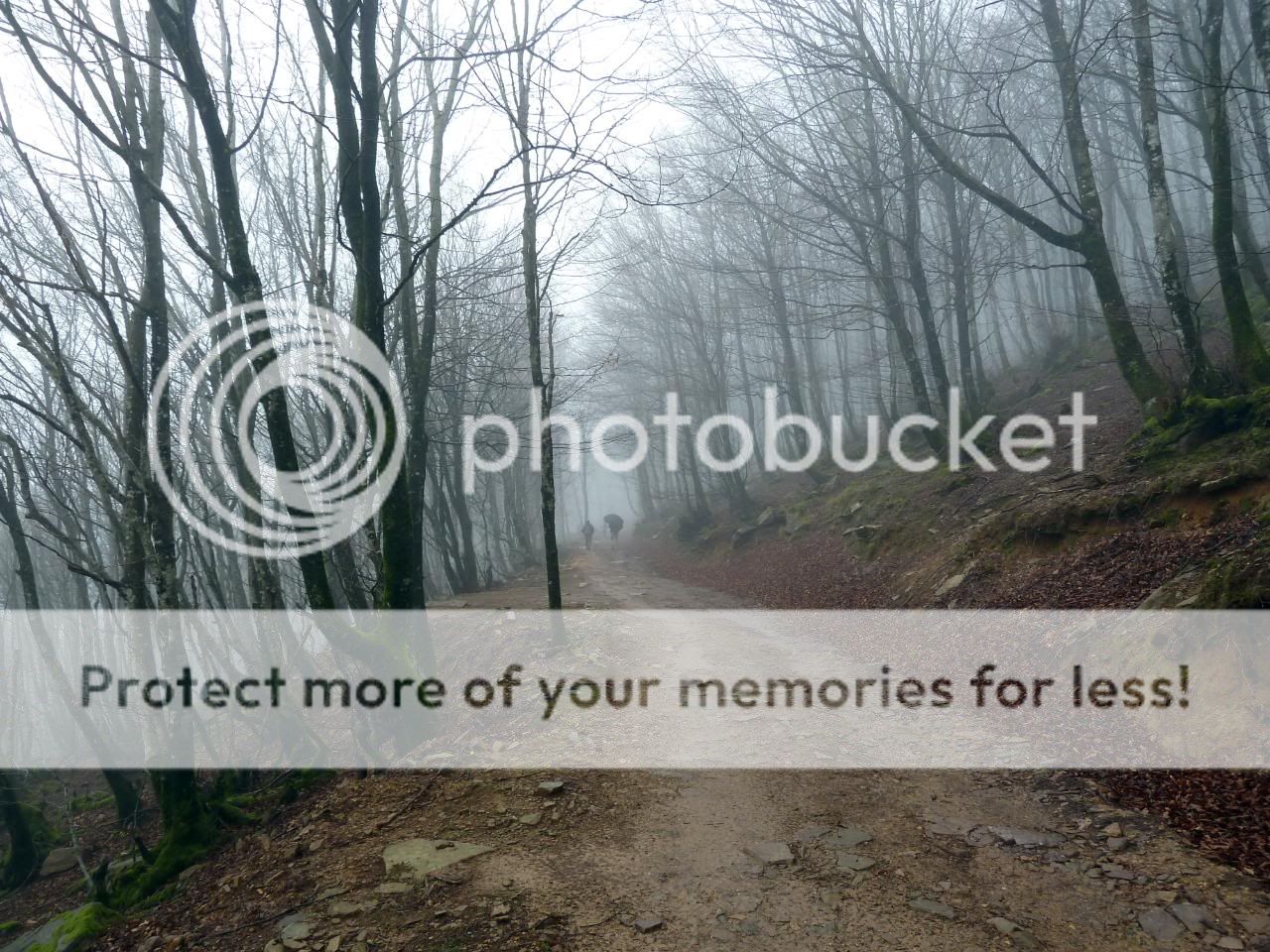 Photo Sharing and Video Hosting at Photobucket