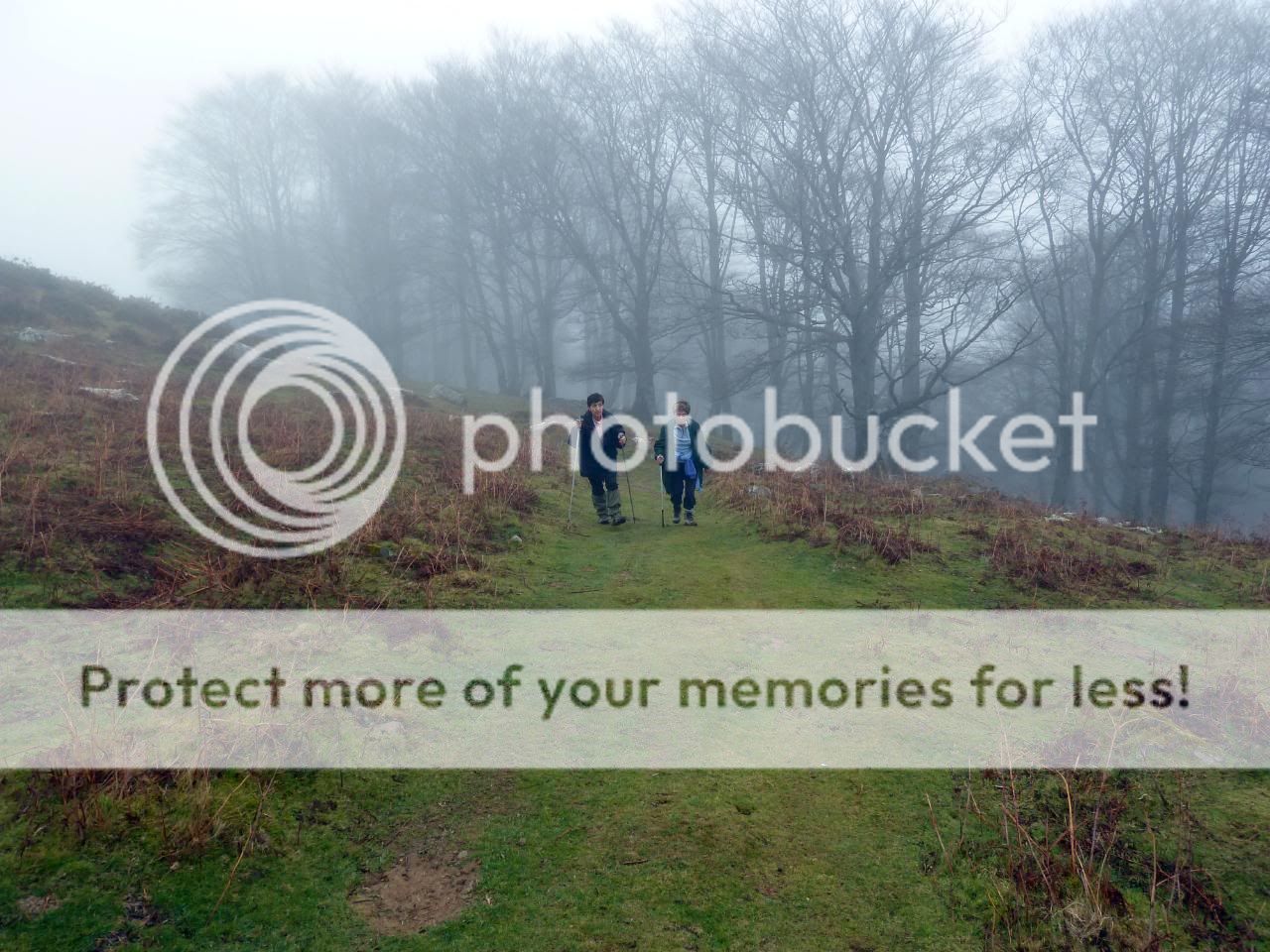 Photo Sharing and Video Hosting at Photobucket