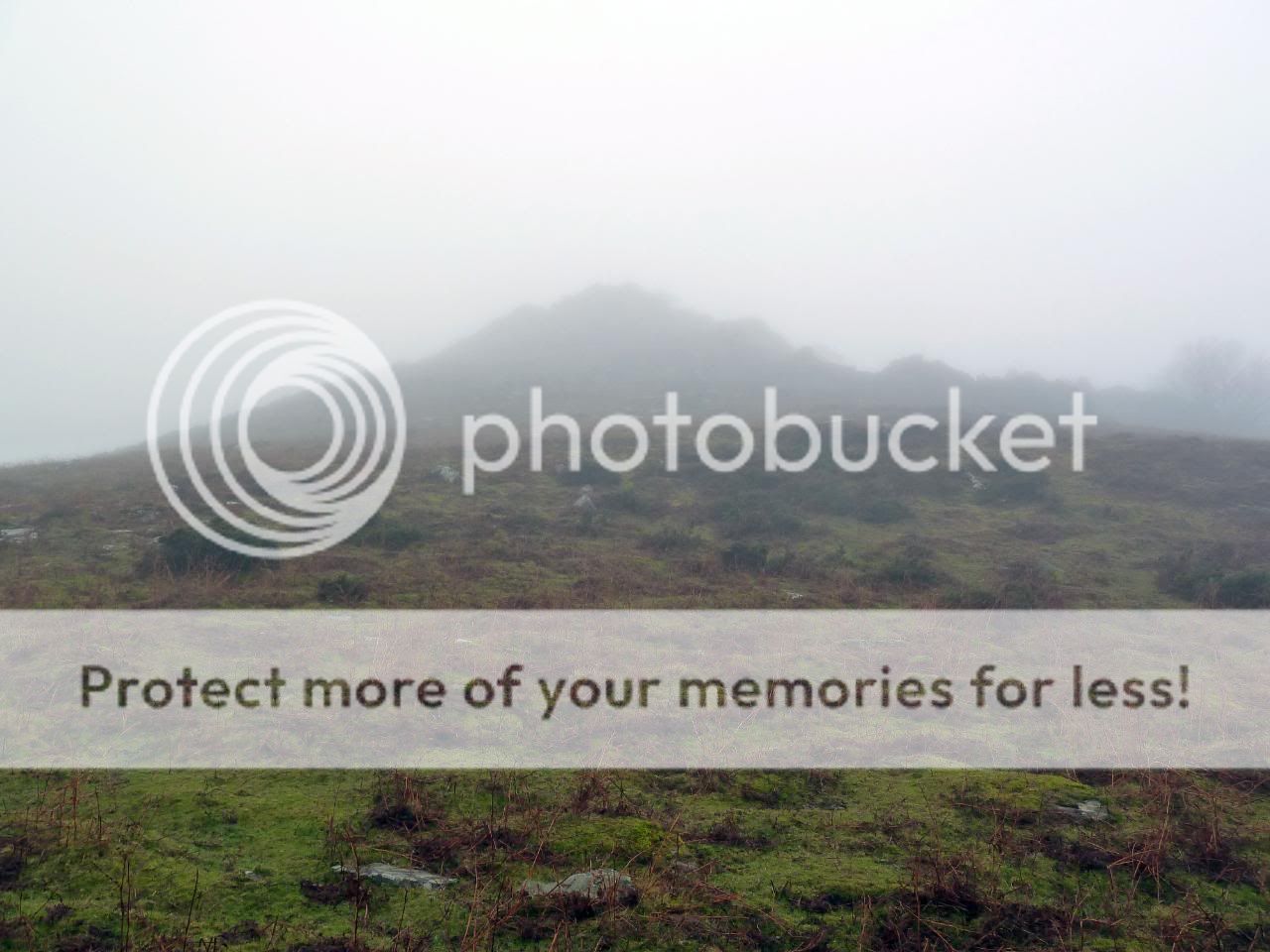 Photo Sharing and Video Hosting at Photobucket