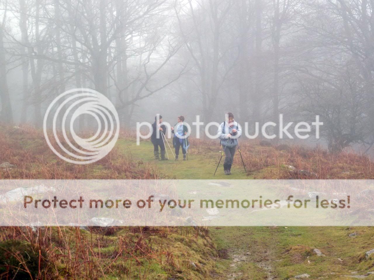 Photo Sharing and Video Hosting at Photobucket