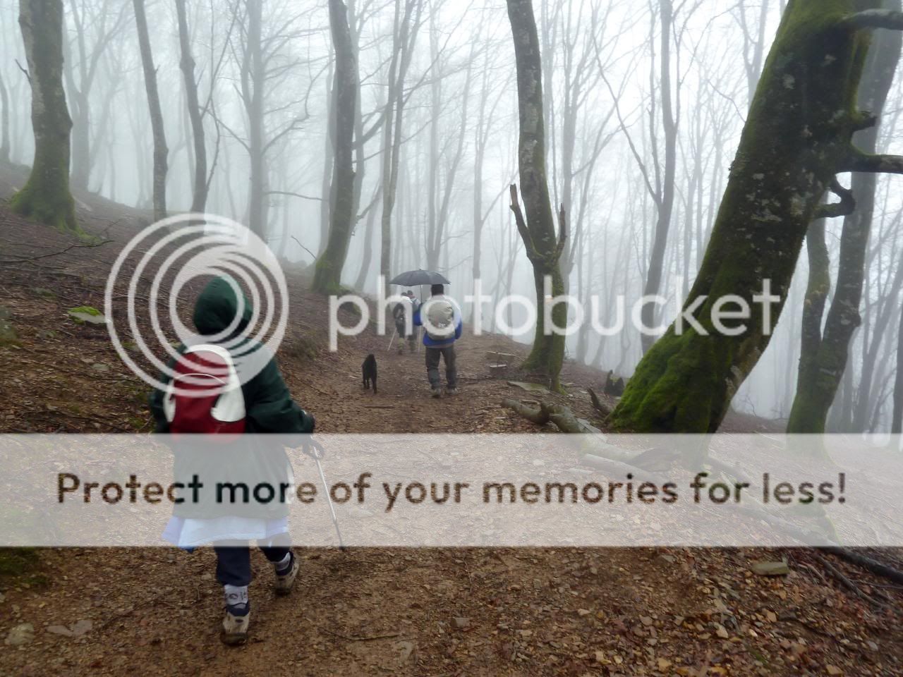 Photo Sharing and Video Hosting at Photobucket