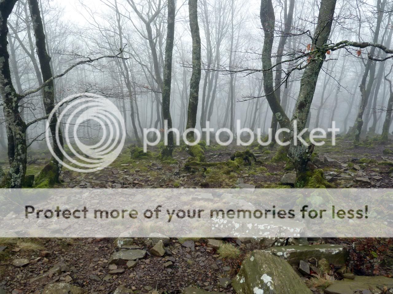 Photo Sharing and Video Hosting at Photobucket