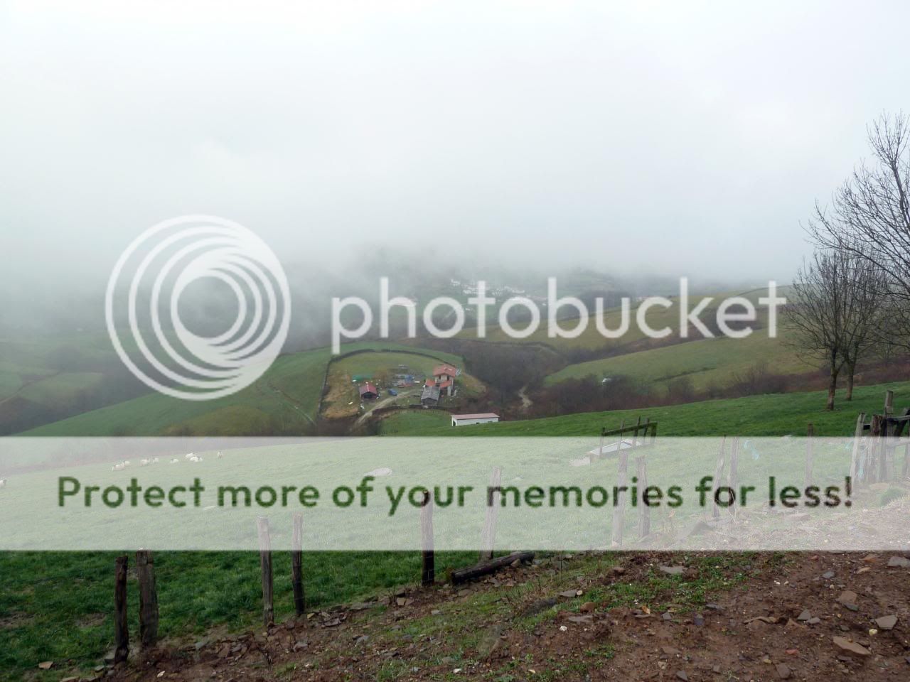 Photo Sharing and Video Hosting at Photobucket