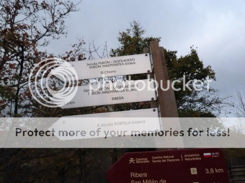 Photo Sharing and otobucVideo Hosting at Phket