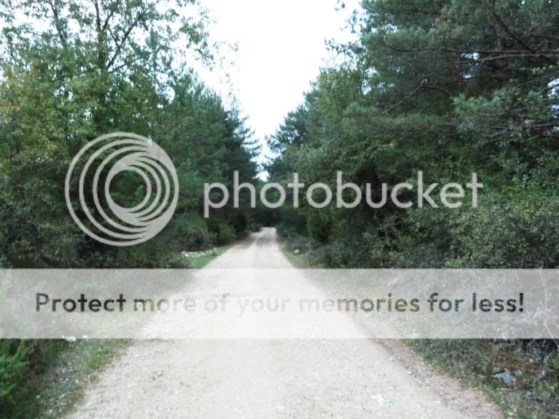 Photo Sharing and otobucVideo Hosting at Phket
