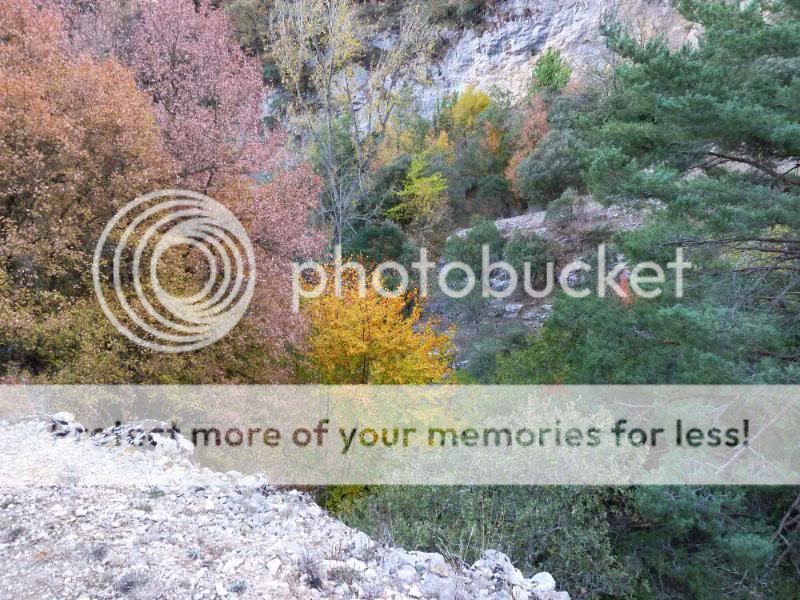 Photo Sharing and otobucVideo Hosting at Phket