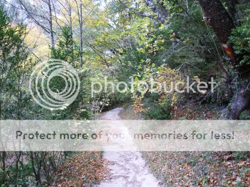 Photo Sharing and otobucVideo Hosting at Phket