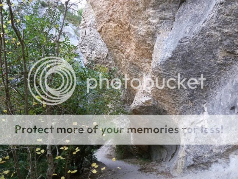 Photo Sharing and otobucVideo Hosting at Phket