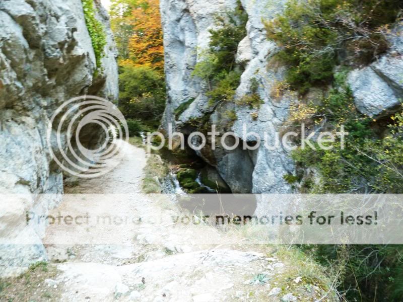Photo Sharing and otobucVideo Hosting at Phket