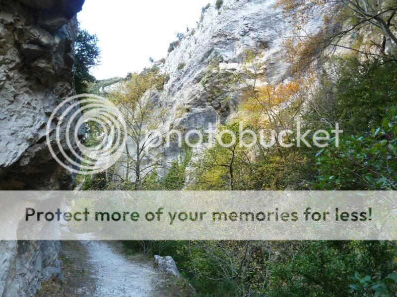 Photo Sharing and otobucVideo Hosting at Phket