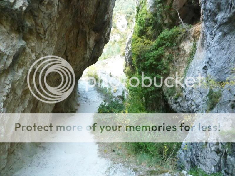 Photo Sharing and otobucVideo Hosting at Phket