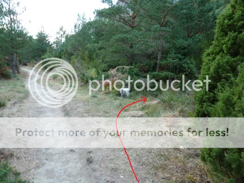 Photo Sharing and otobucVideo Hosting at Phket
