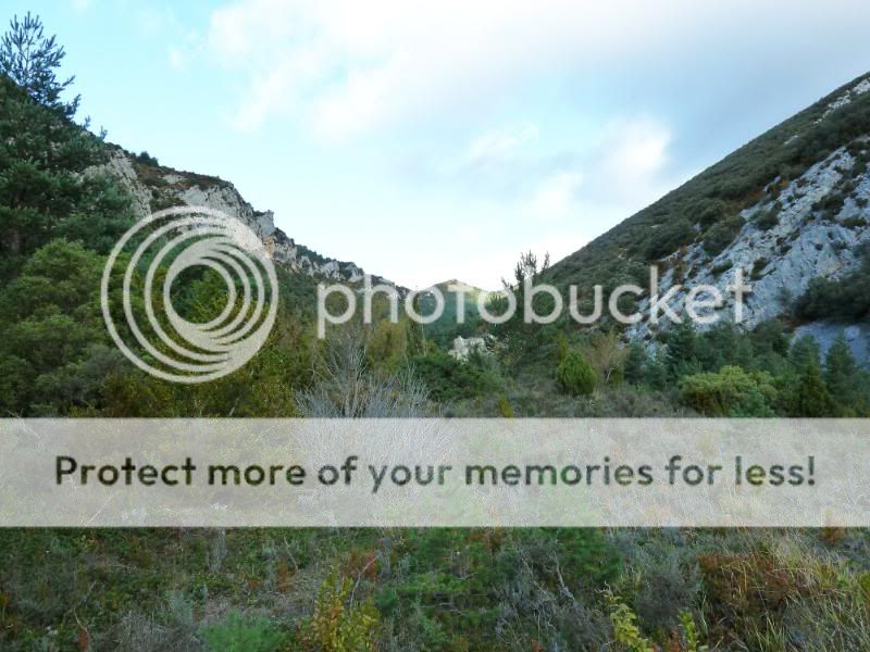 Photo Sharing and otobucVideo Hosting at Phket