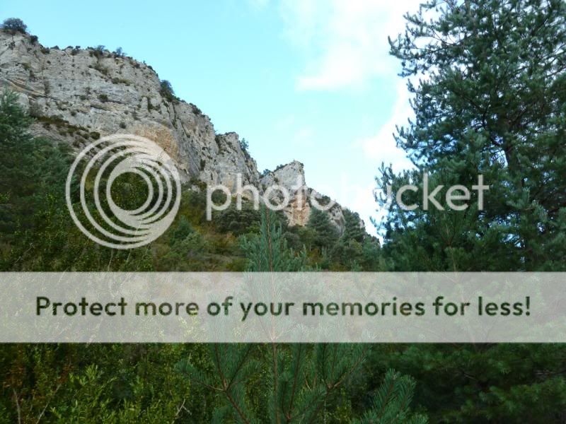 Photo Sharing and otobucVideo Hosting at Phket