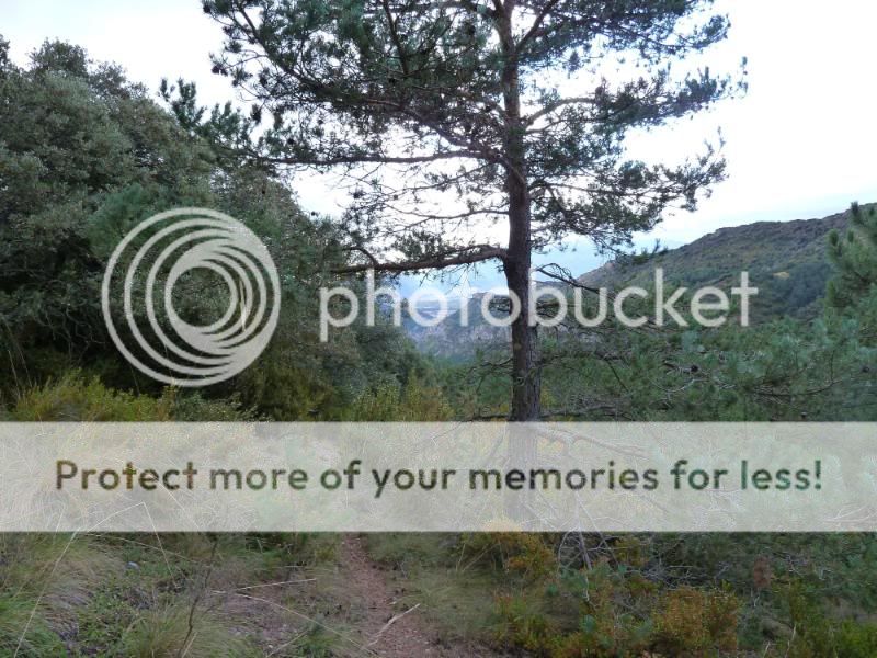 Photo Sharing and otobucVideo Hosting at Phket