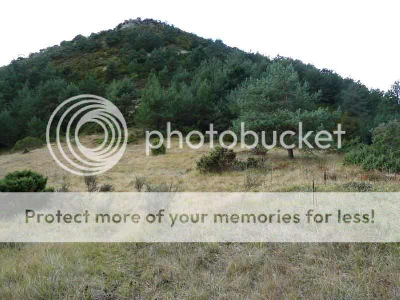 Photo Sharing and otobucVideo Hosting at Phket