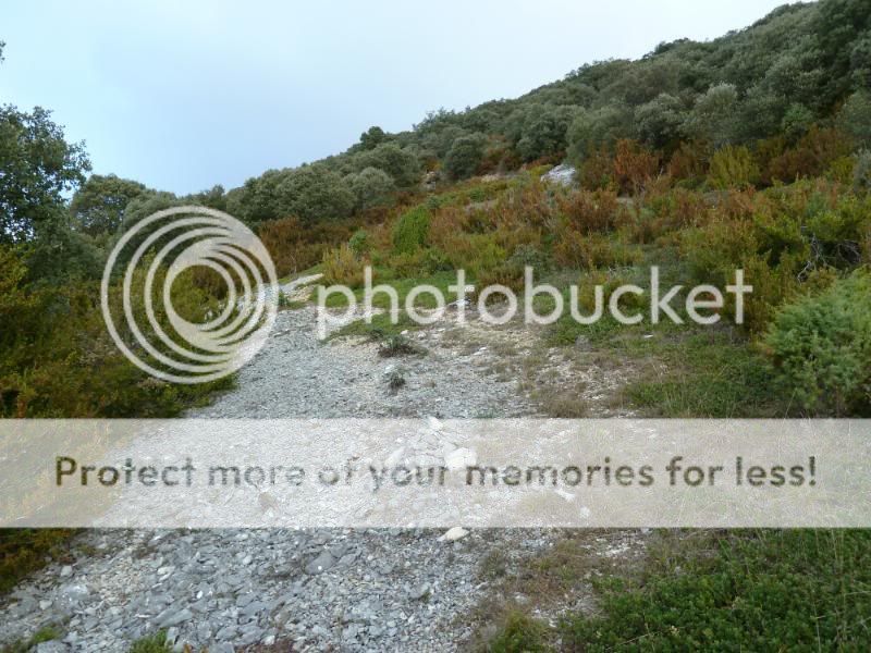 Photo Sharing and otobucVideo Hosting at Phket