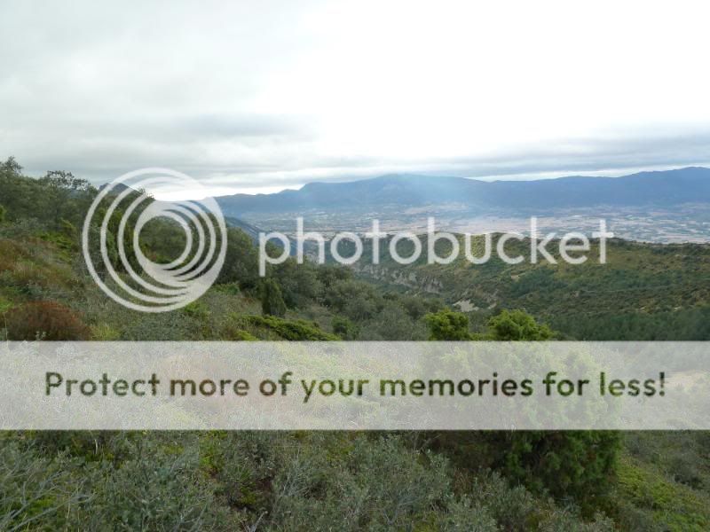 Photo Sharing and otobucVideo Hosting at Phket