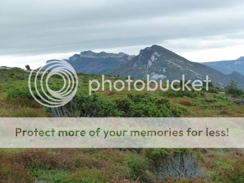 Photo Sharing and otobucVideo Hosting at Phket