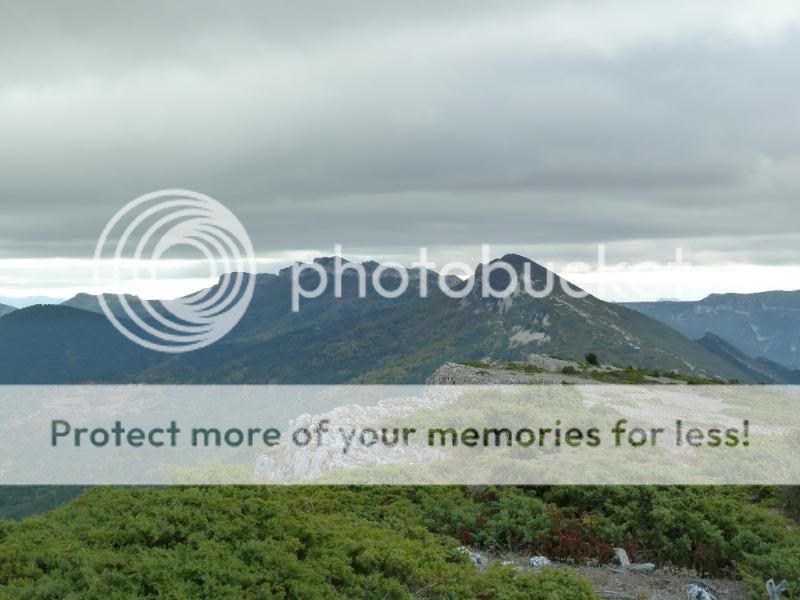 Photo Sharing and otobucVideo Hosting at Phket
