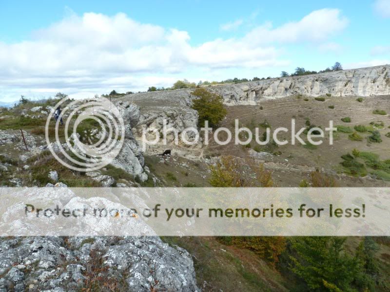 Photo Sharing and otobucVideo Hosting at Phket