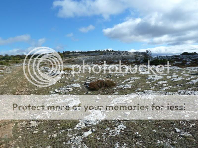 Photo Sharing and otobucVideo Hosting at Phket