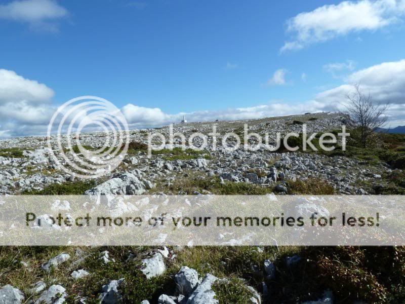 Photo Sharing and otobucVideo Hosting at Phket