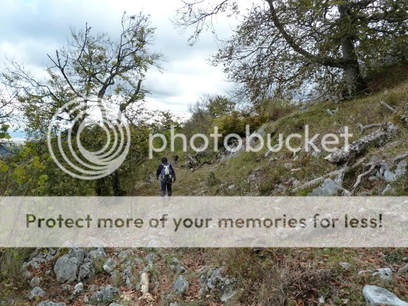 Photo Sharing and otobucVideo Hosting at Phket