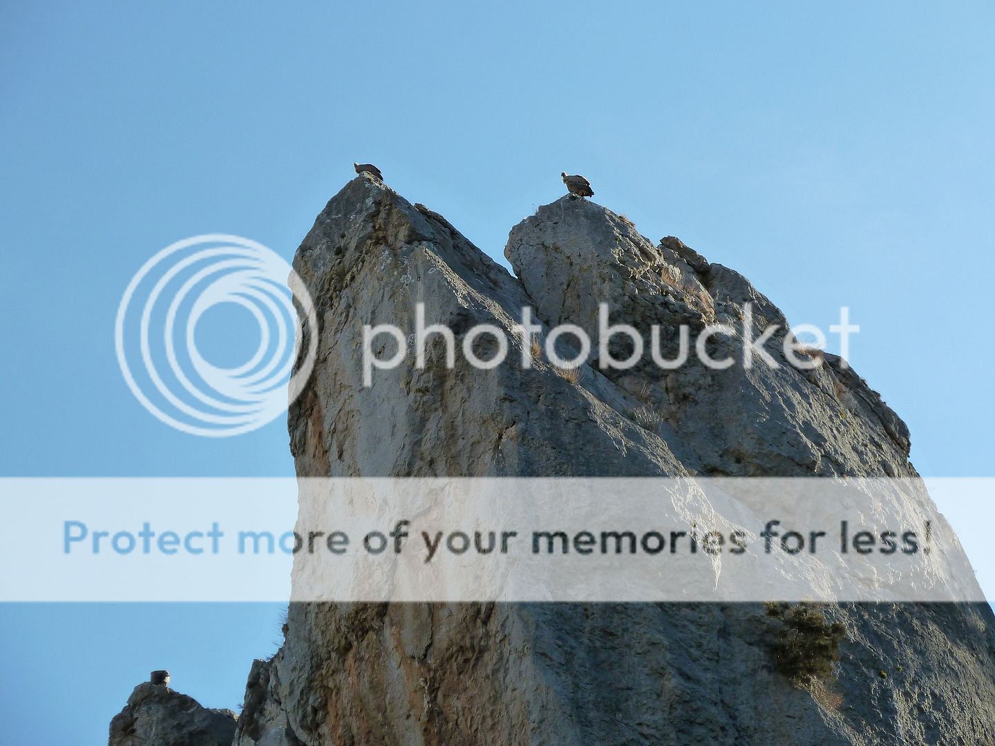 Photo Sharing and Video Hosting at Photobucket