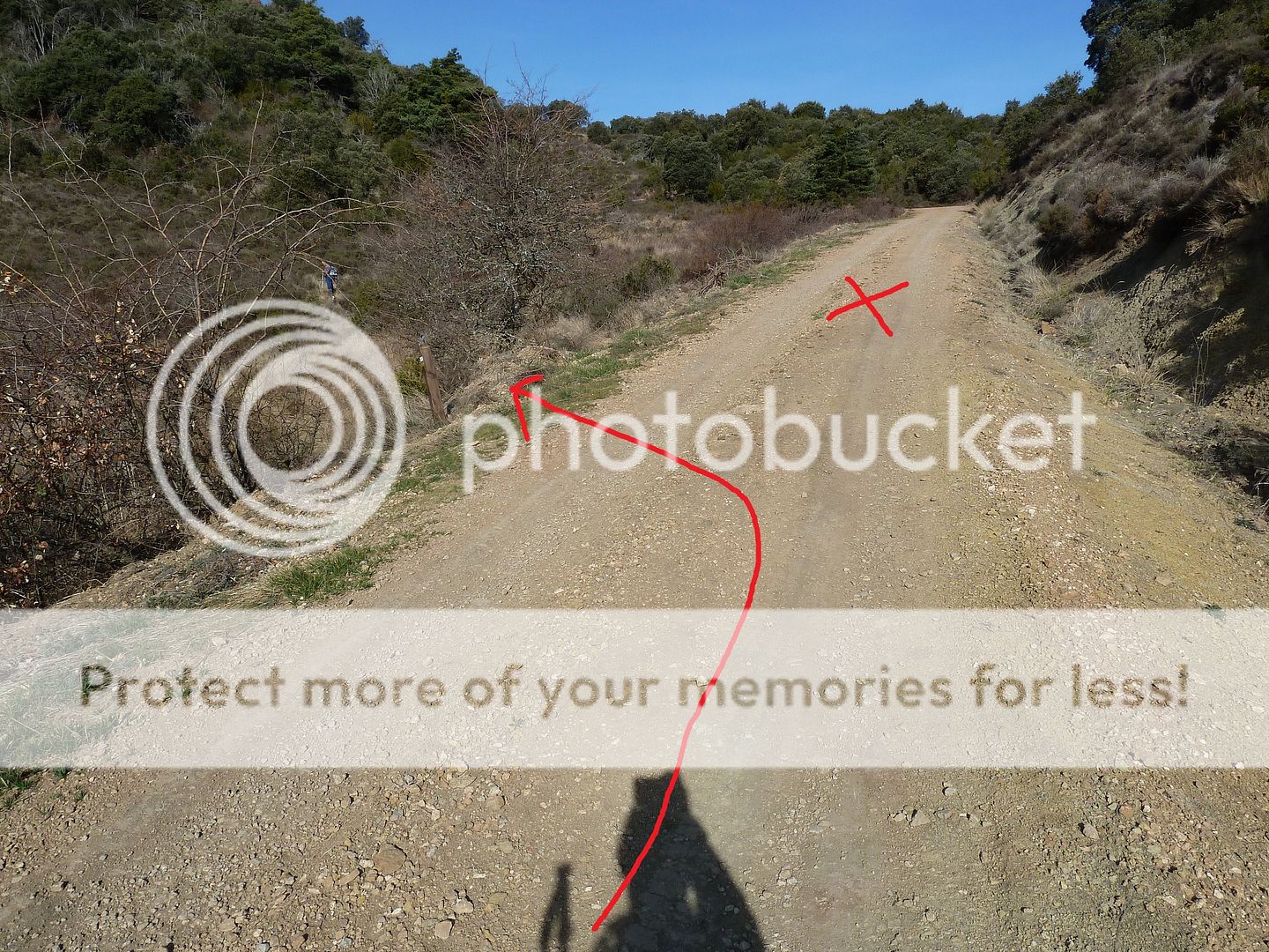 Photo Sharing and Video Hosting at Photobucket