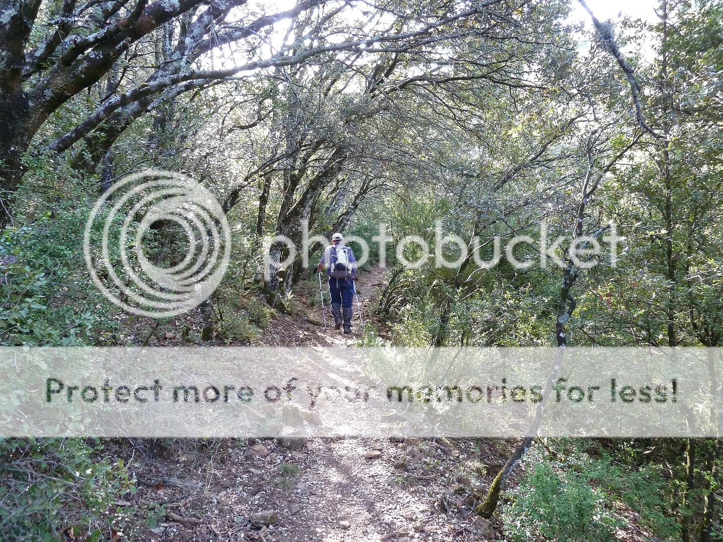 Photo Sharing and Video Hosting at Photobucket